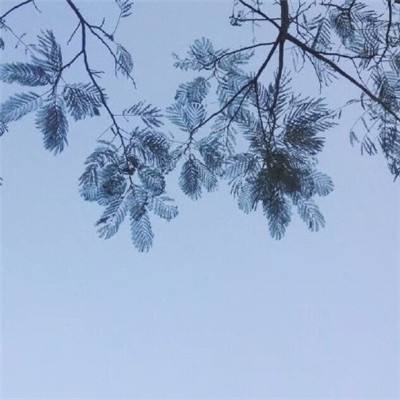 无限次元war2d手游下载